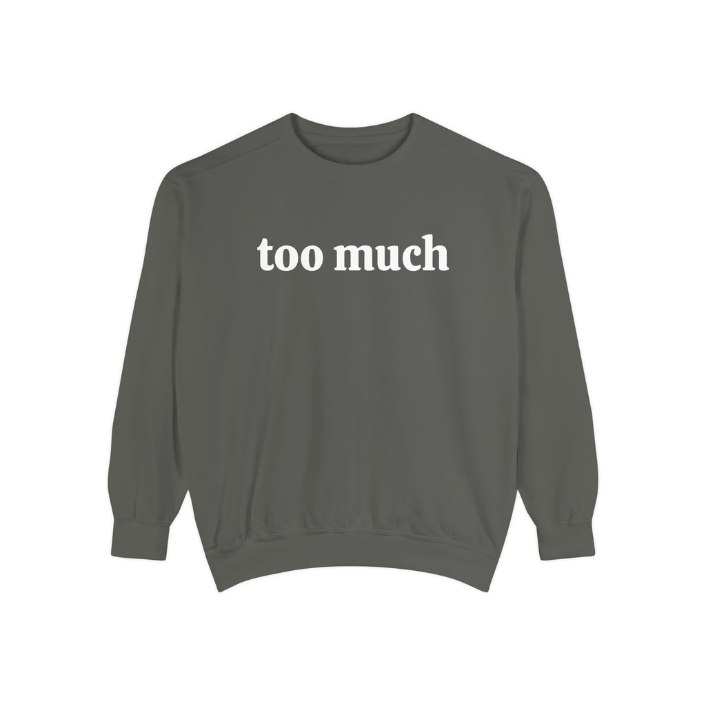 too much - embroidered sweatshirt