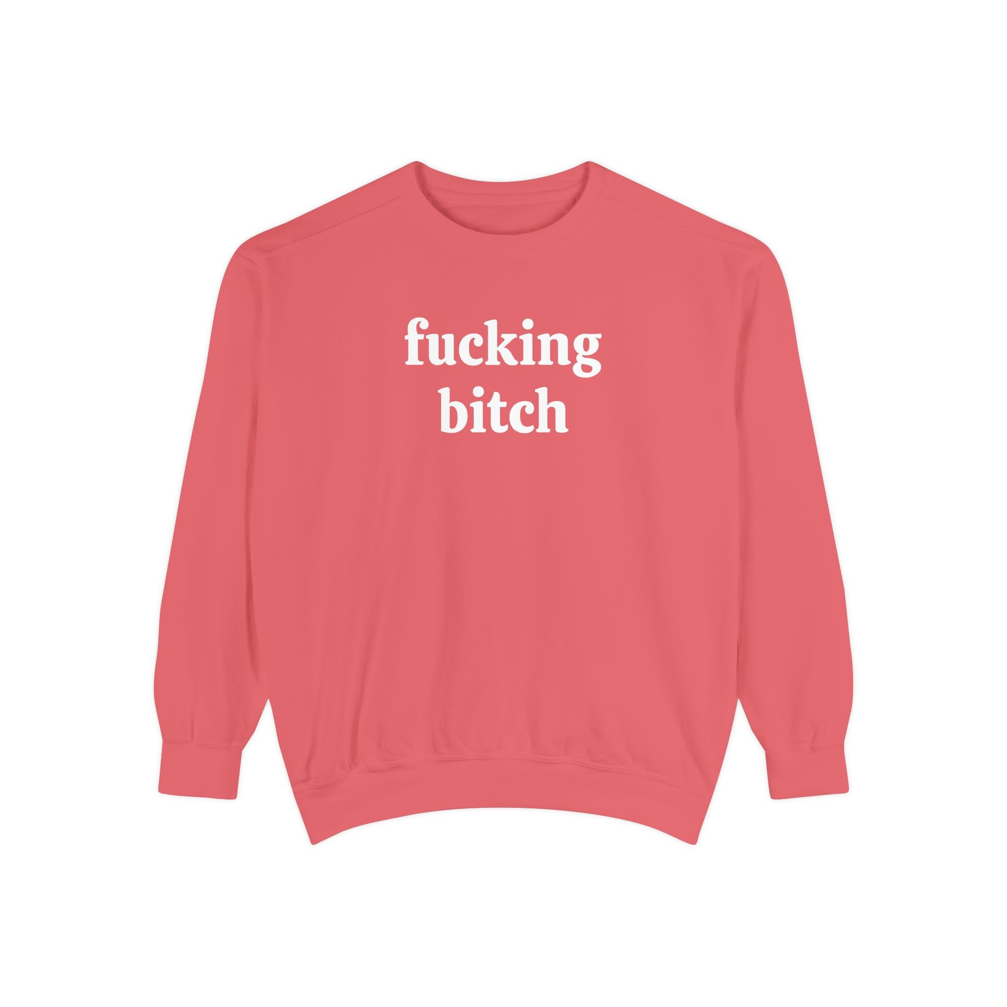 fucking bitch embroidered sweatshirt