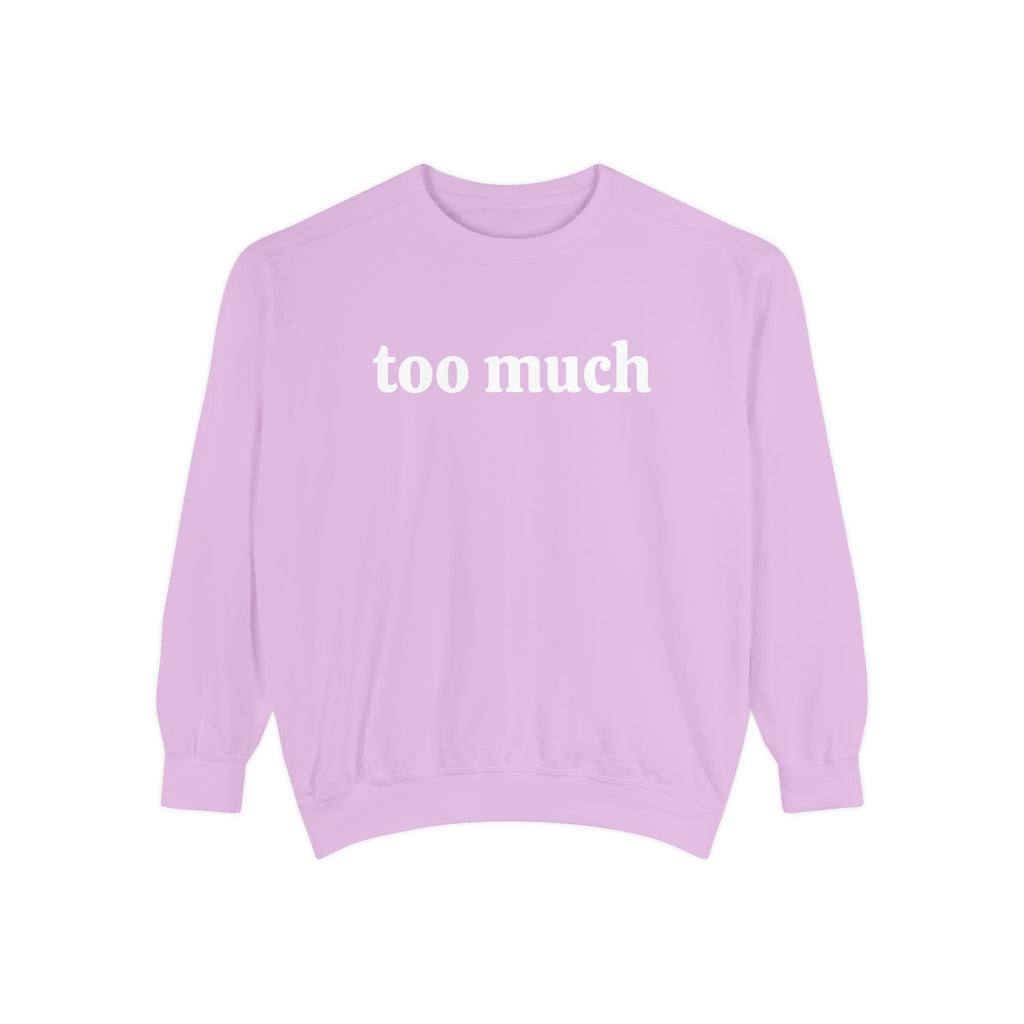 too much - embroidered sweatshirt
