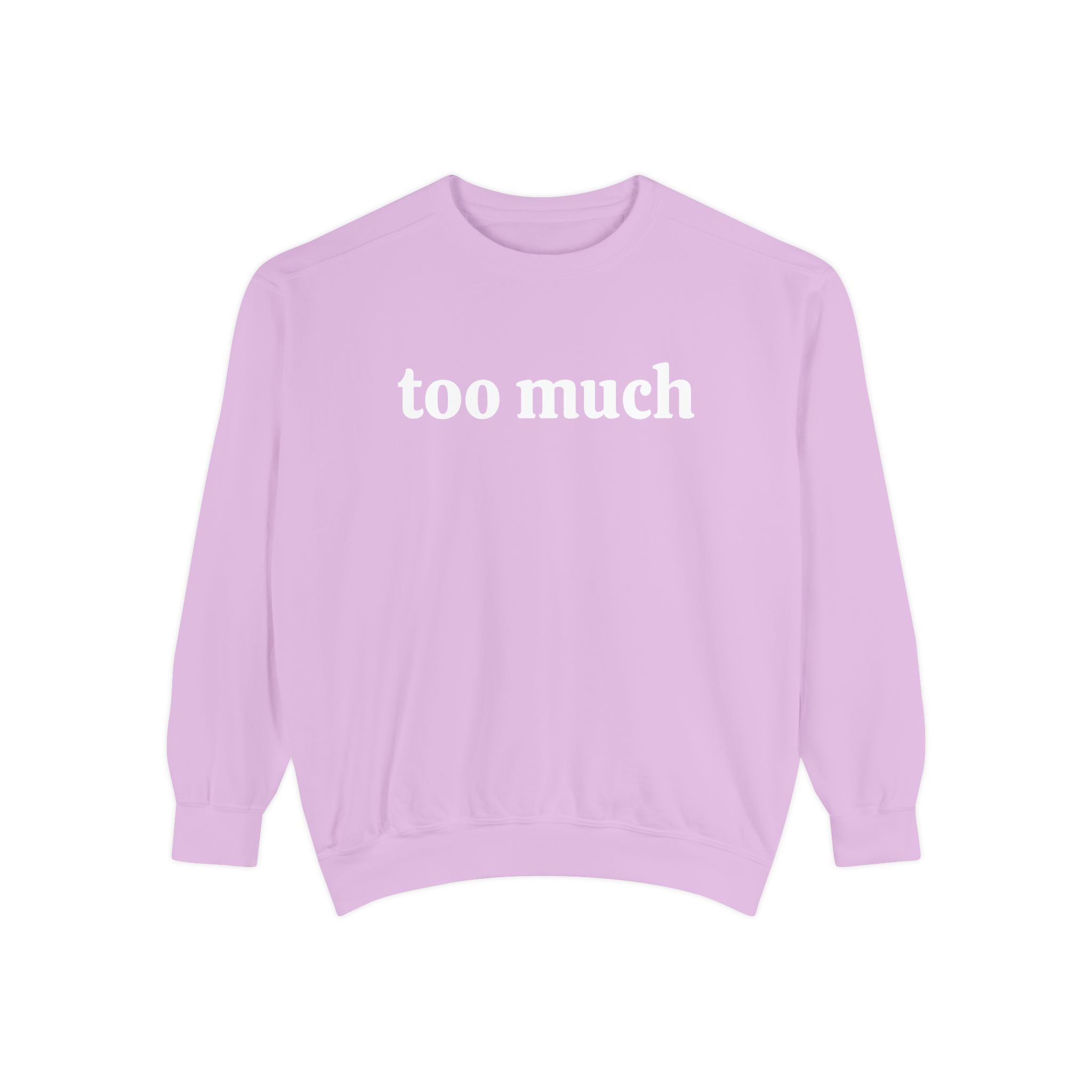 too much - embroidered sweatshirt