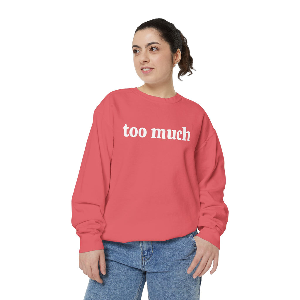 too much - embroidered sweatshirt