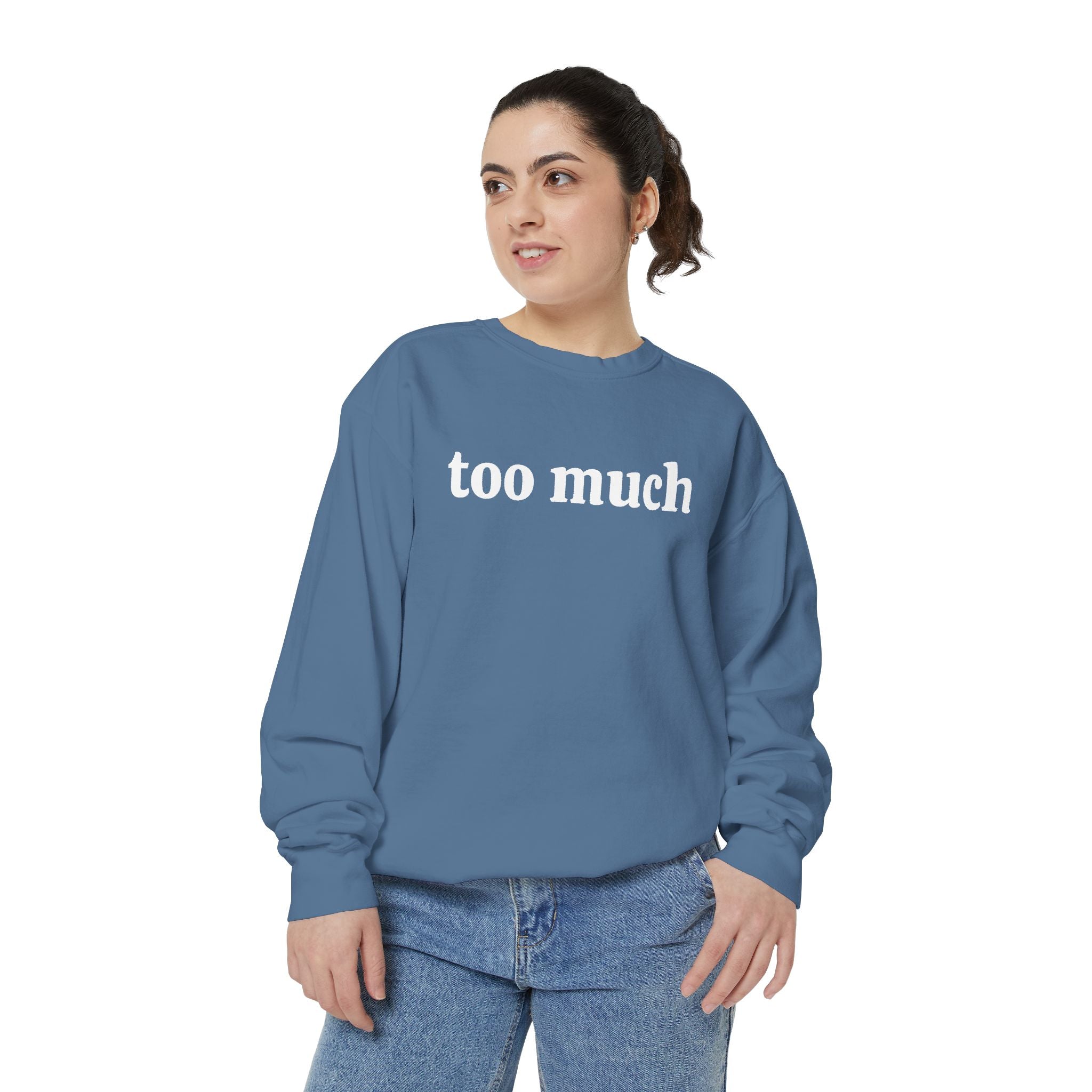too much - embroidered sweatshirt