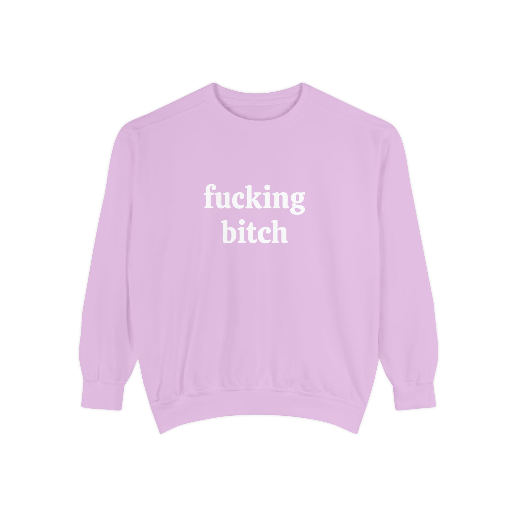 fucking bitch embroidered sweatshirt